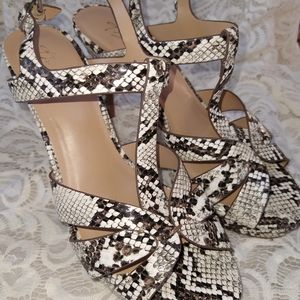 Thalia faux Snake Skin Heals